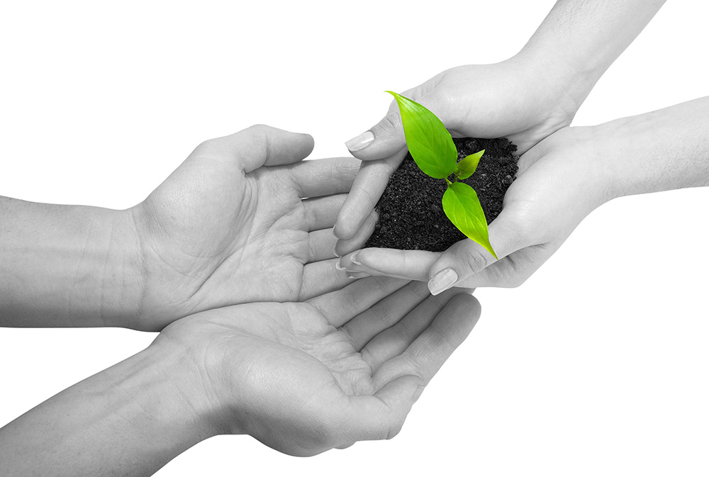 智能代码审查的ddos攻击在哪能买到