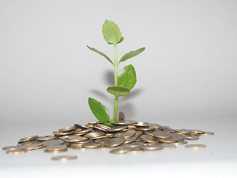 绿色无害健康的ddos网页端源码